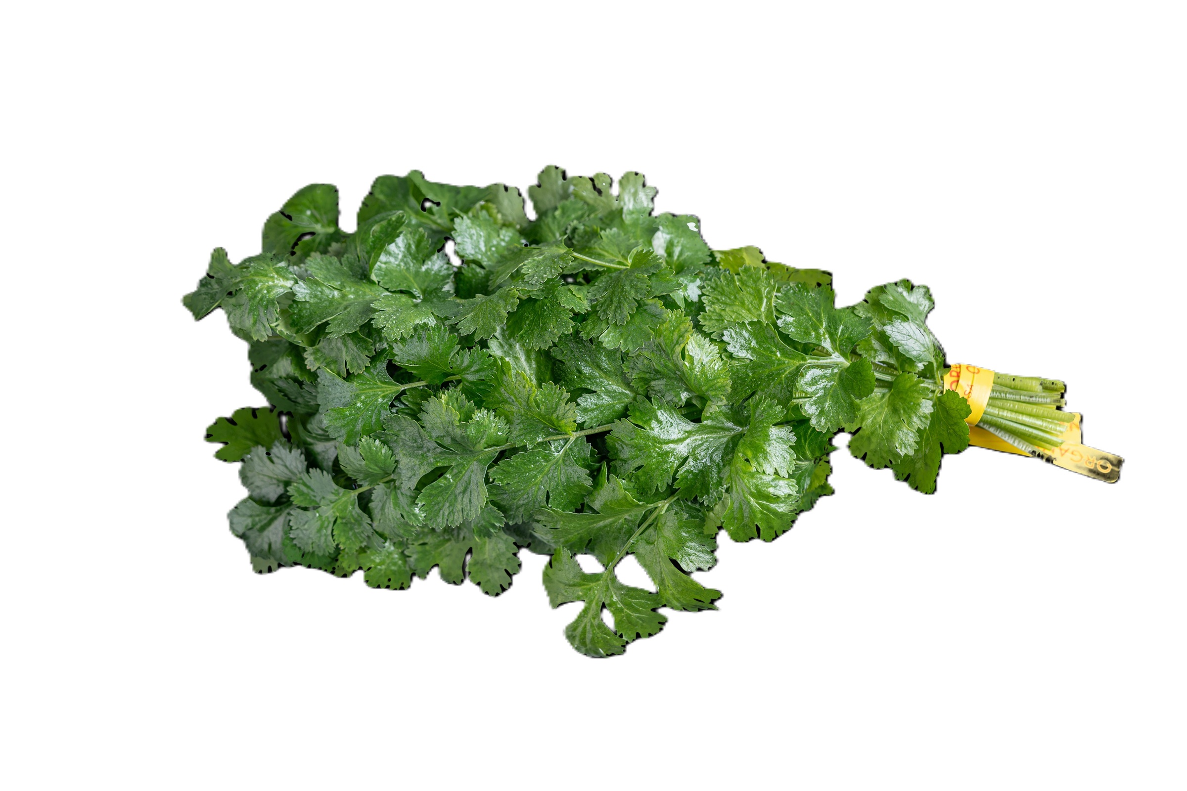 Organic Cilantro, 2-3 oz Bunch