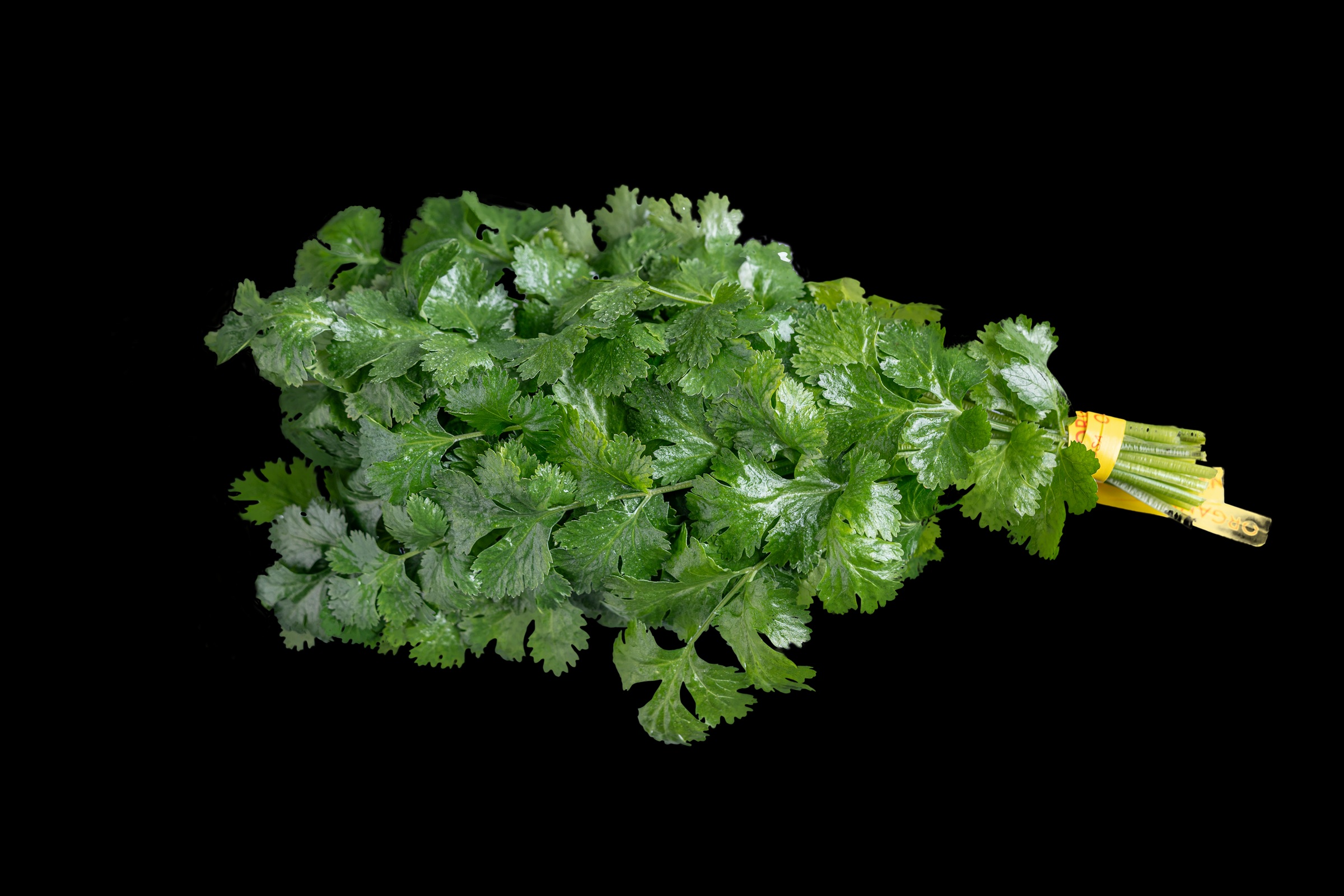 Organic Cilantro, 2-3 oz Bunch
