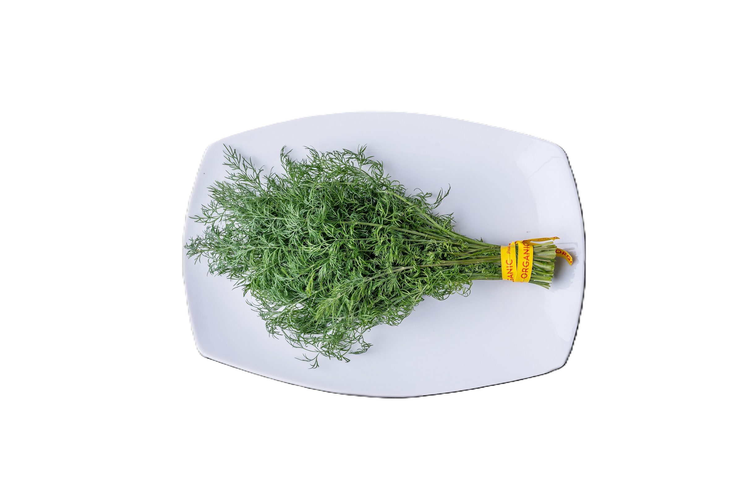 Organic Dill, 2-3 oz Bunch
