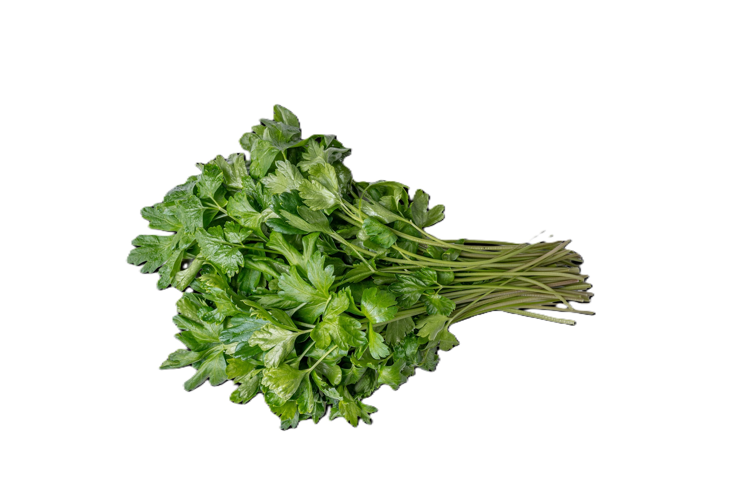 Italian Parsley, 1 lb Bag