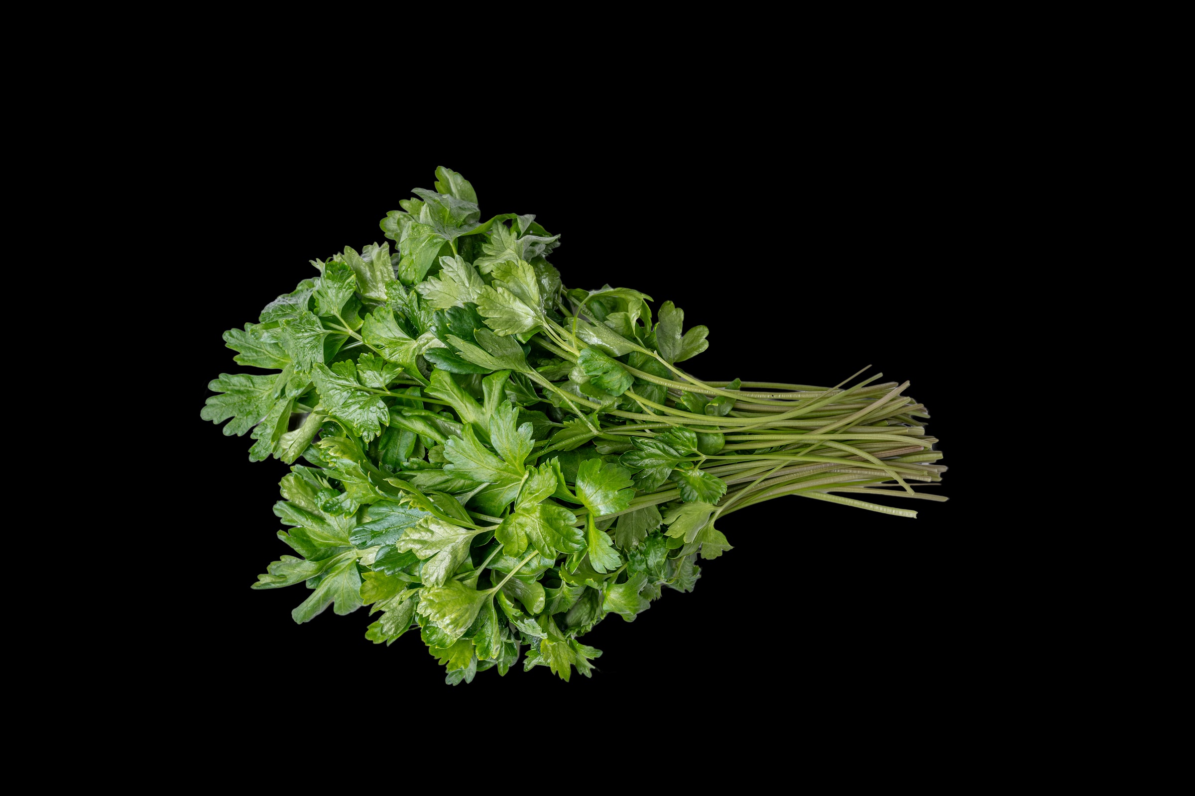 Italian Parsley, 1 lb Bag