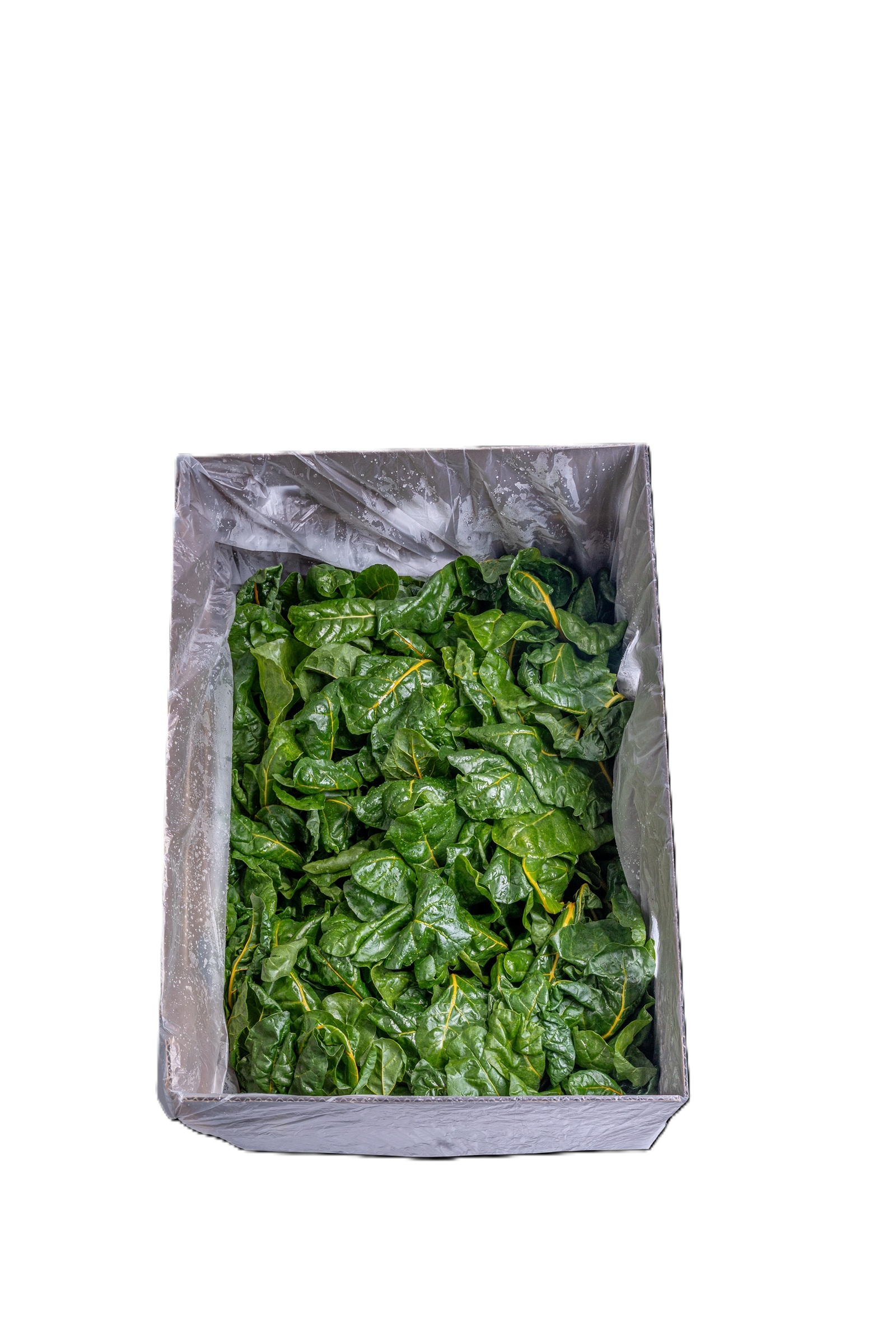 Red Swiss Chard, 5 oz photo 2