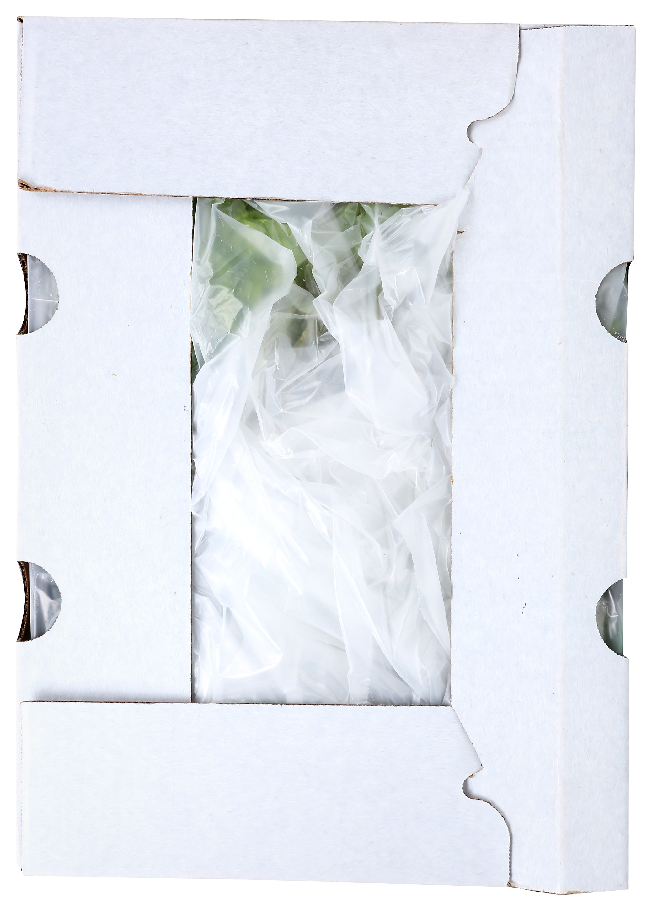 Red Leaf Lettuce photo 3