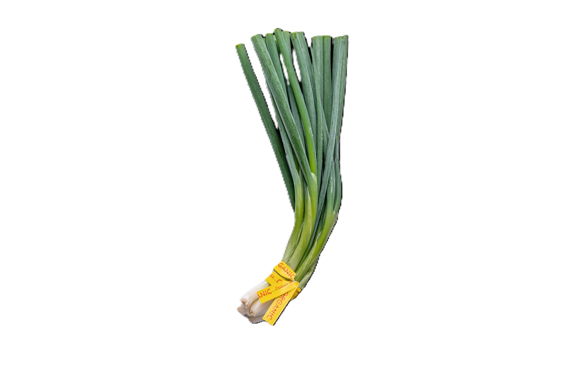Organic Scallions, 3 oz Bunch