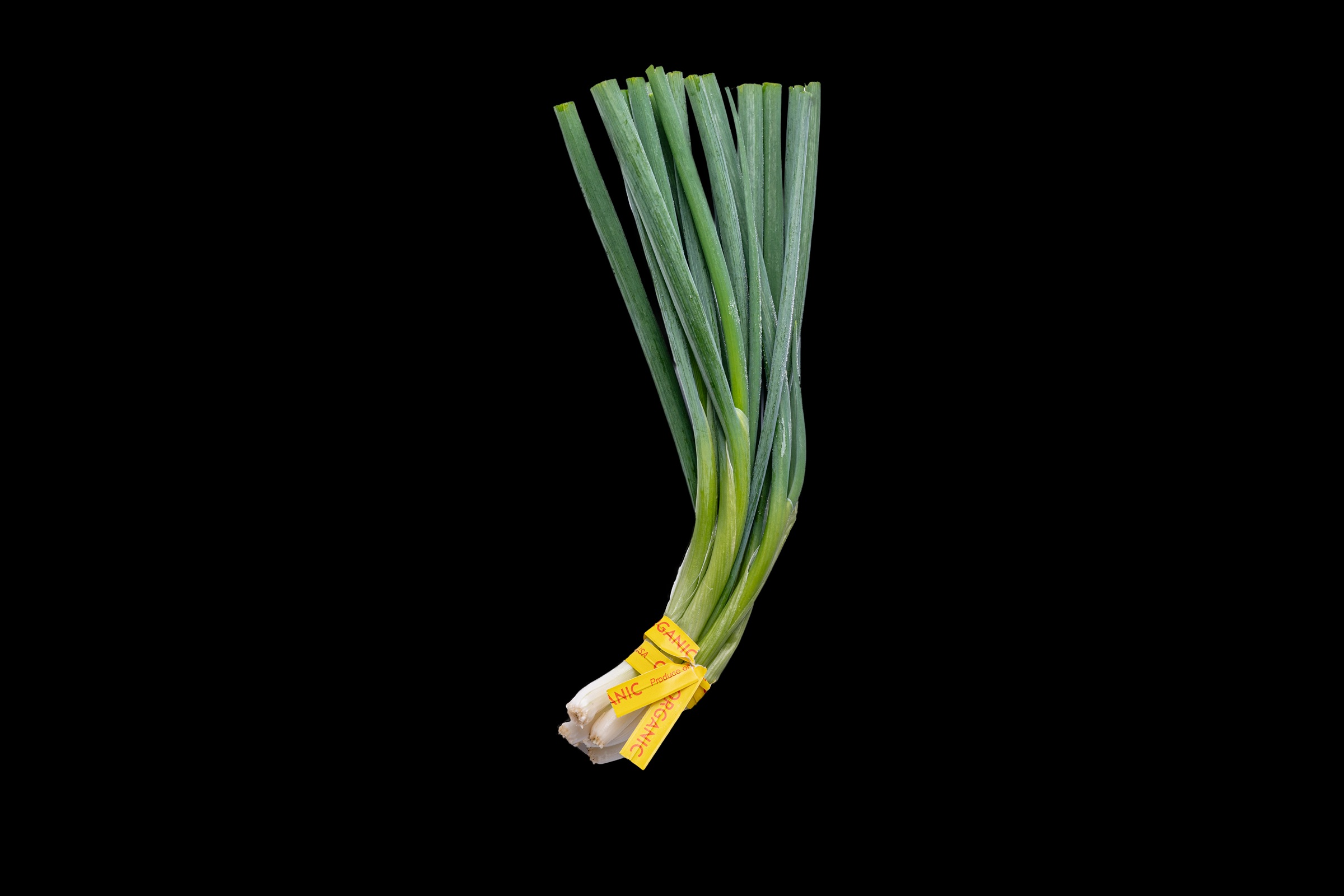 Organic Scallions, 3 oz Bunch