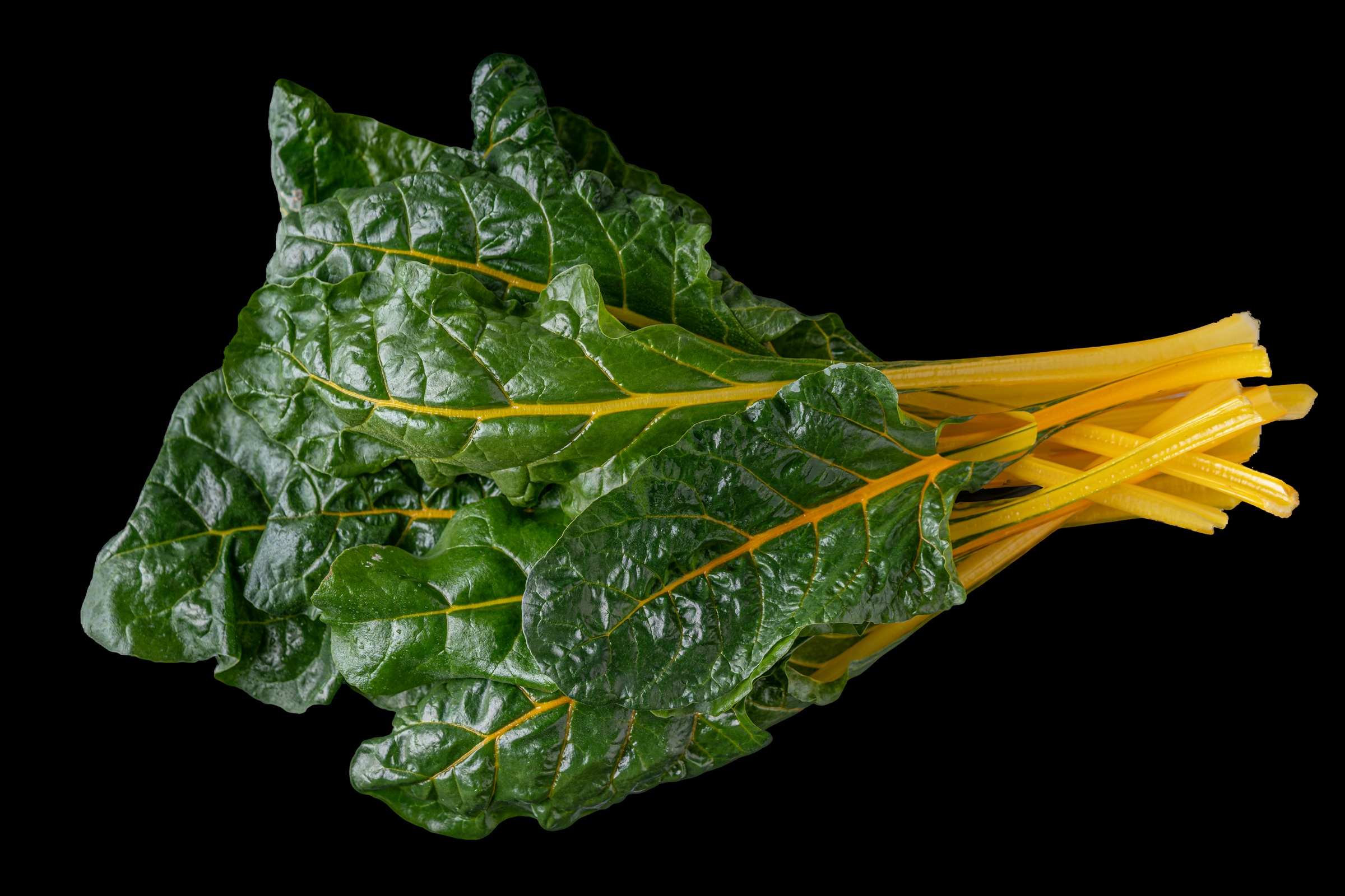 Yellow Swiss Chard, 5 oz